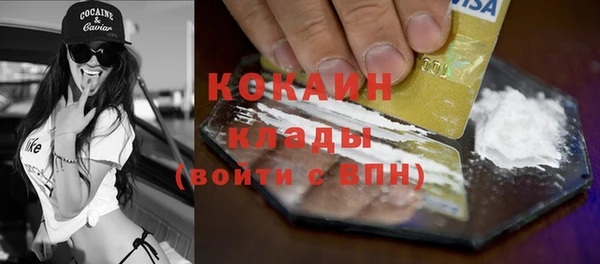 прущие грибы Новозыбков
