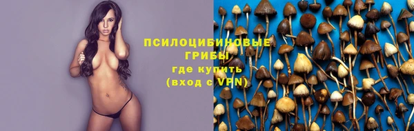 СК Нея