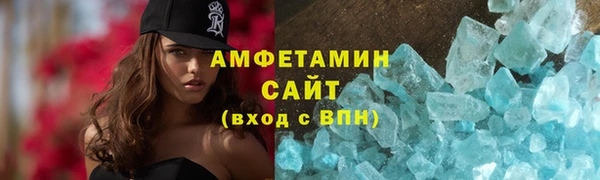 прущие грибы Новозыбков