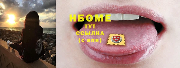 прущие грибы Новозыбков