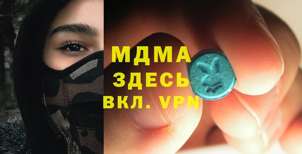 прущие грибы Новозыбков