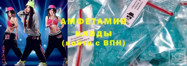 прущие грибы Новозыбков