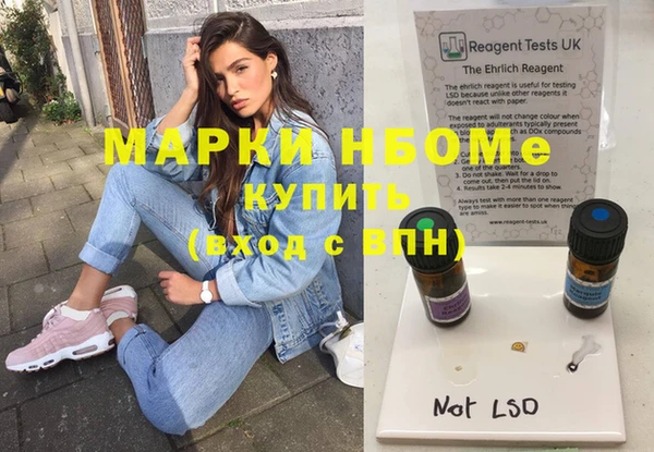 прущие грибы Новозыбков