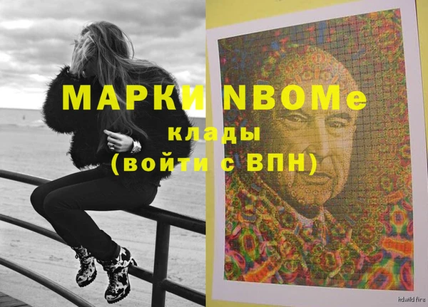 прущие грибы Новозыбков