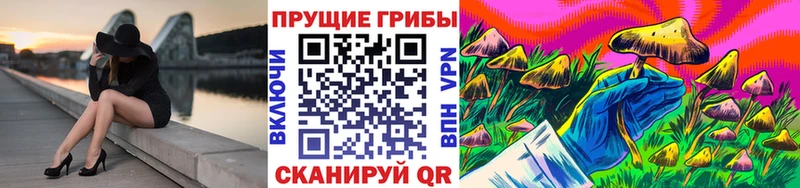 Галлюциногенные грибы прущие грибы  сколько стоит  shop Telegram  Кизилюрт 