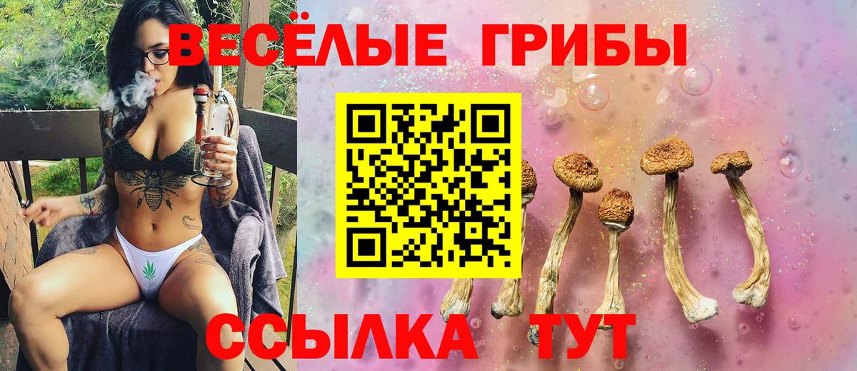 Галлюциногенные грибы MAGIC MUSHROOMS Кизилюрт