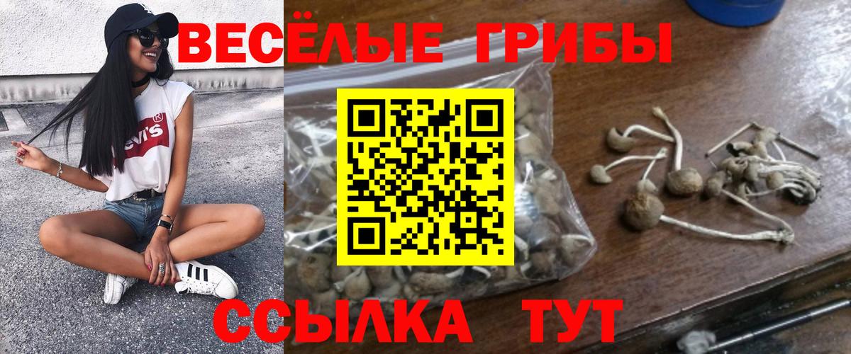 Галлюциногенные грибы ЛСД  Вход с VPN  Кизилюрт 