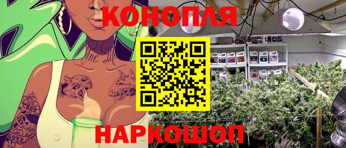 Каннабис SATIVA & INDICA  Марихуана конопля  Каннабис SATIVA & INDICA  Кизилюрт  Канабис планчик 